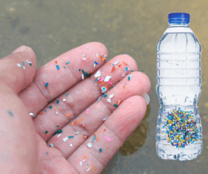 MicroPlastics in Buffalo Water